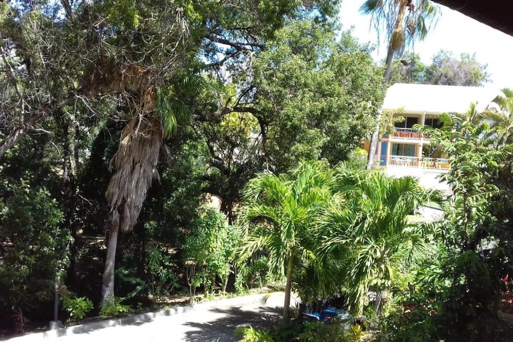 Studio Le Balisier Caritan Exterior photo
